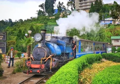 Darjeeling toy train